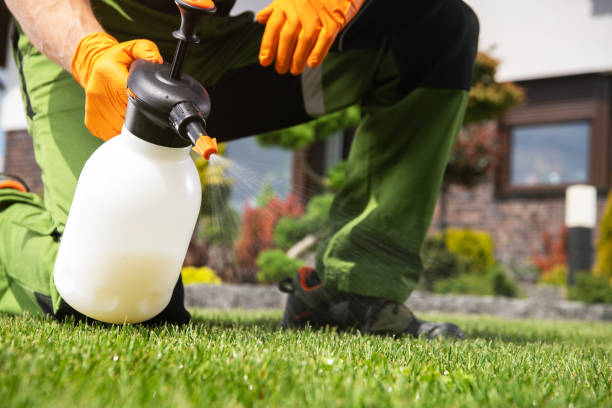 Best Rat Extermination Near Me  in Saranap, CA