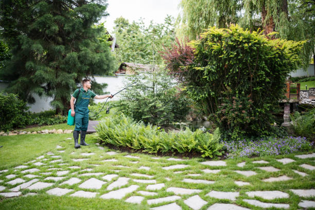 Best Affordable Pest Control Services  in Saranap, CA