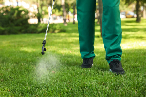 Best Exterminator Services  in Saranap, CA