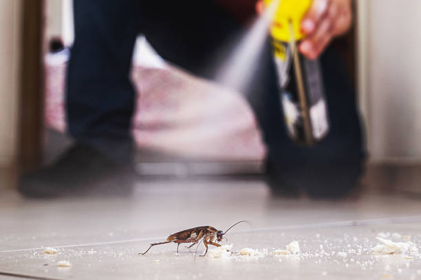 Best Exterminator Services  in Saranap, CA