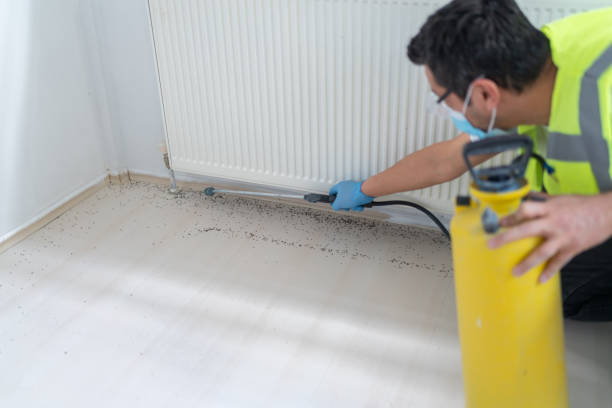 Best Affordable Pest Control Services  in Saranap, CA