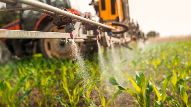 Best Pest Prevention Services  in Saranap, CA